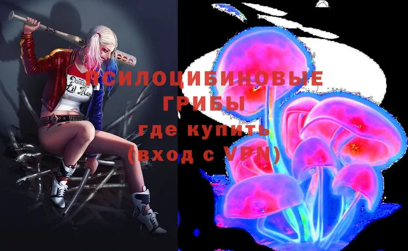 цена   Белово  Псилоцибиновые грибы Magic Shrooms 